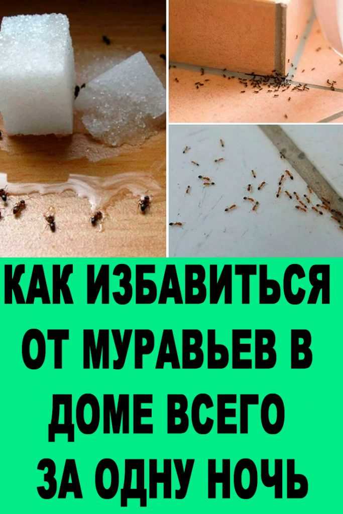 Определение местоположения гнезда