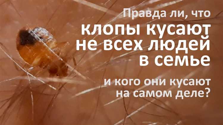 Почему клопы не кусают всех подряд