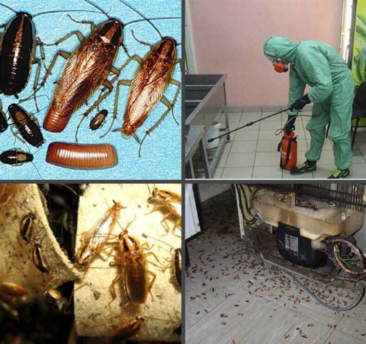 Альтернативные методы борьбы с насекомыми