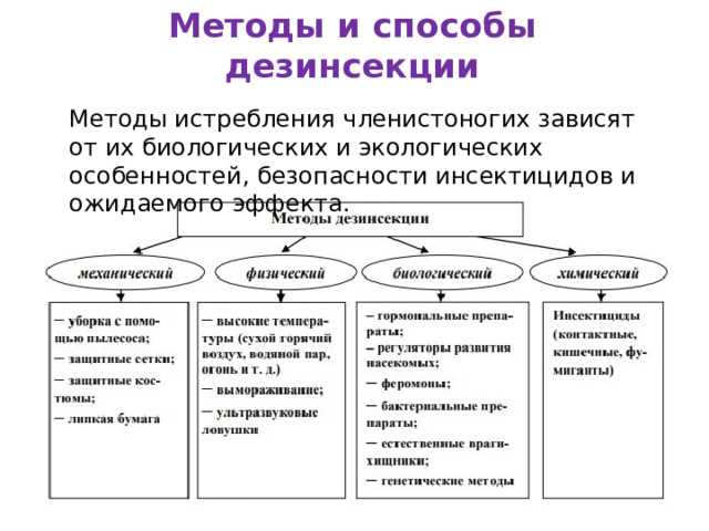 Профилактическая обработка и герметизация помещений